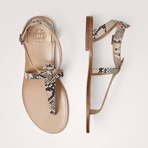 NWT Massimo Dutti Animal Print Flat Sandals Size 8